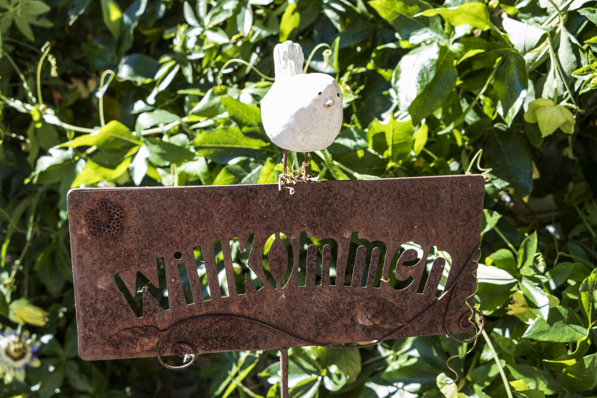 Willkommen im Gr&uuml;nen